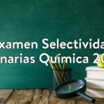 Examen Selectividad Canarias Química 2021